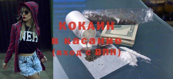 мет Алексин