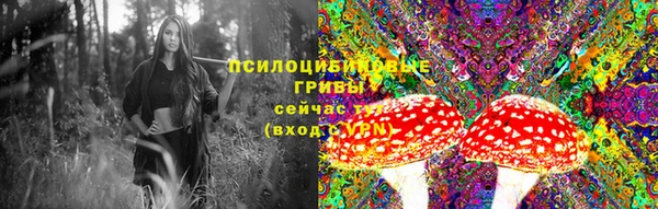 спайс Алексеевка