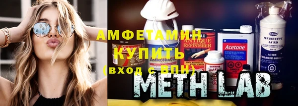мет Алексин