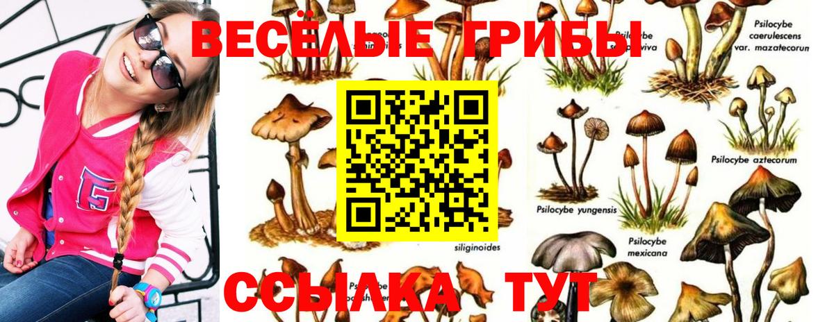 сколько стоит  Вход с VPN  Троицк  Псилоцибиновые грибы ЛСД 